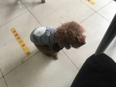 -清真-戏楼王记牛肉面