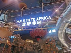 点击看大图 -卡通尼·Safari非洲探索乐园·生日会(金桥国际商业广场店)