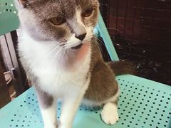 -MIKAKU(万达广场上海宝山店)