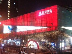 -远洋未来汇