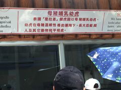 -是拉差龙虎园(Permanently closed)