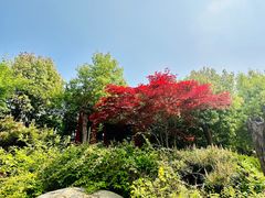 -观唐（国际）度假村温泉