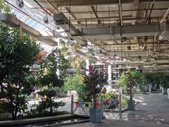 -红栌温泉山庄生态美食餐厅