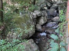 -藏龙百瀑风景区