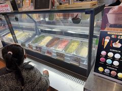 -极拉图·现制冰淇淋(大卫城店)