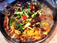 -老板恋上鱼(恒隆广场店)