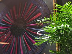 -滇野云南野生菌餐厅(陕西南路店)