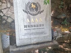-抱犊崮国家森林公园