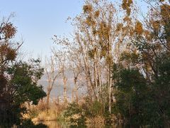 -西昌邛海湿地