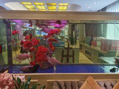 -骏莱海鲜鱼港(五角场店)