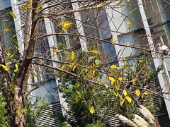 -嘉华鲜花饼·现烤(昆明老街店)