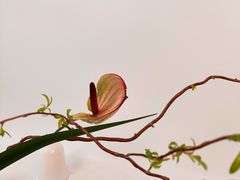 -今日陶艺(富力广场店)