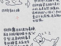 -美联众合动物医院·24h转诊中心