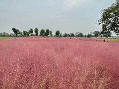 -汉长安城未央宫国家考古遗址公园