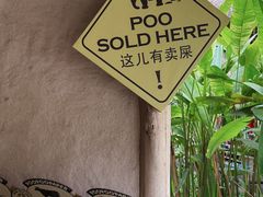 -大象粑粑造纸公园