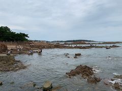 -青岛第二海水浴场