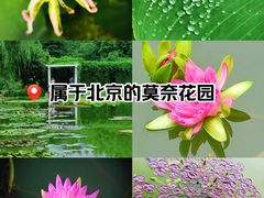 -国家植物园南园