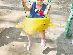 -东方巨龟苑景区