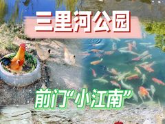 -三里河公园
