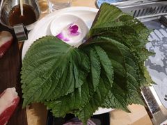 -千纸鹤嫩汁烤肉(西大直街店)