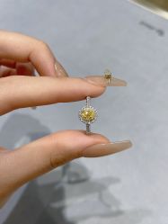 -Zbird钻石小鸟·钻戒婚戒定制高端珠宝私人定制中心