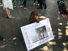 -黄埔古港