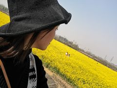 -西海岸生态观光园