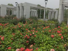 -石家庄市植物园