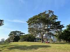 -深圳湾公园(南山区)