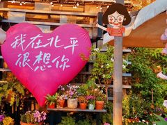 -中粮·祥云小镇