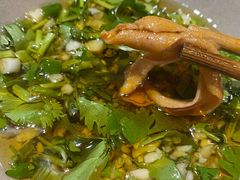 油碟-青年火锅(吾悦广场直营店)