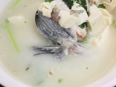 鱼头豆腐元西汤-红星光发煲仔饭(文海店)