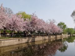 -海棠花溪(元大都城垣遗址公园)
