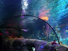 -沈阳海洋探索中心