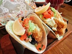 -Famous肥猫墨西哥音乐餐吧(五棵松华熙LIVE店)