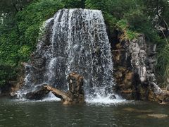 -西郊宾馆·1921餐厅