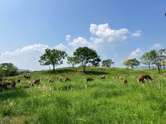 -良渚古城遗址公园