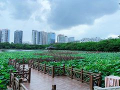 -南宁南湖公园