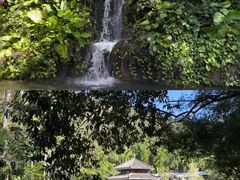 -亚龙湾国际玫瑰谷