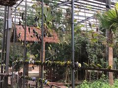 -呀路古热带植物园