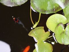 -云水谣景区-土楼之光文化园