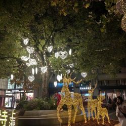 点击看大图 -Bonpoint(比斯特上海购物村店)