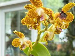 -国家植物园南园