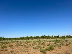 -亿利库布其七星湖沙漠生态旅游区