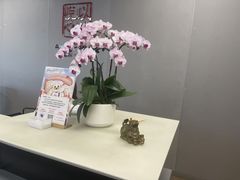 -上海永达奥诚奥迪4S店(申江路店)