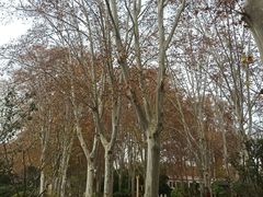 -河南省黄河迎宾馆