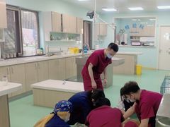 -北京观赏动物医院·24小时大型综合·猫专科·异宠专科
