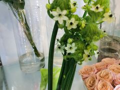-双季花艺园艺市场(浦东店)