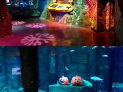 -沈阳海洋探索中心