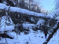 -峡谷浮石林景区